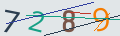 verifycode
